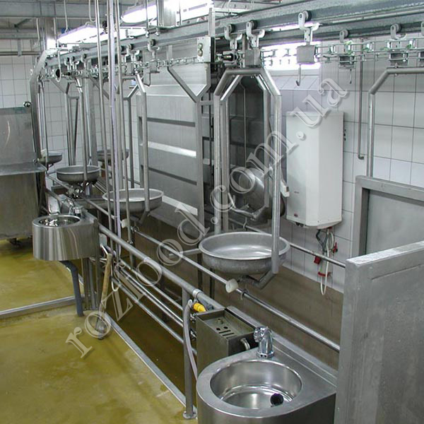Conveyor for pork liver kits - photo 3