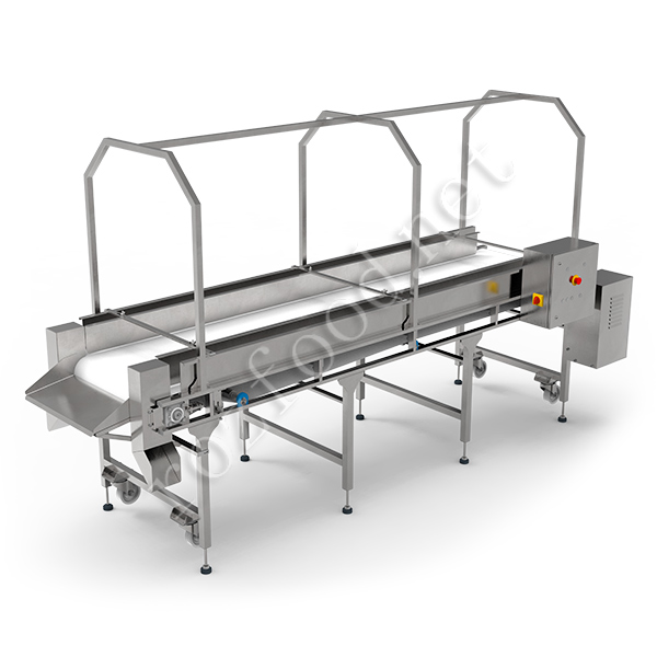 Inspection conveyor for berries, fruits, vegetables, jars