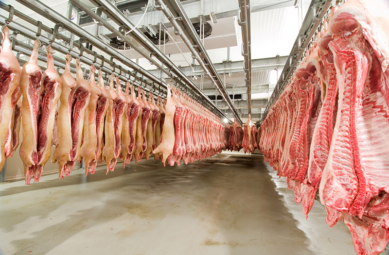Top-quality meat production | ROZFOOD - photo 1